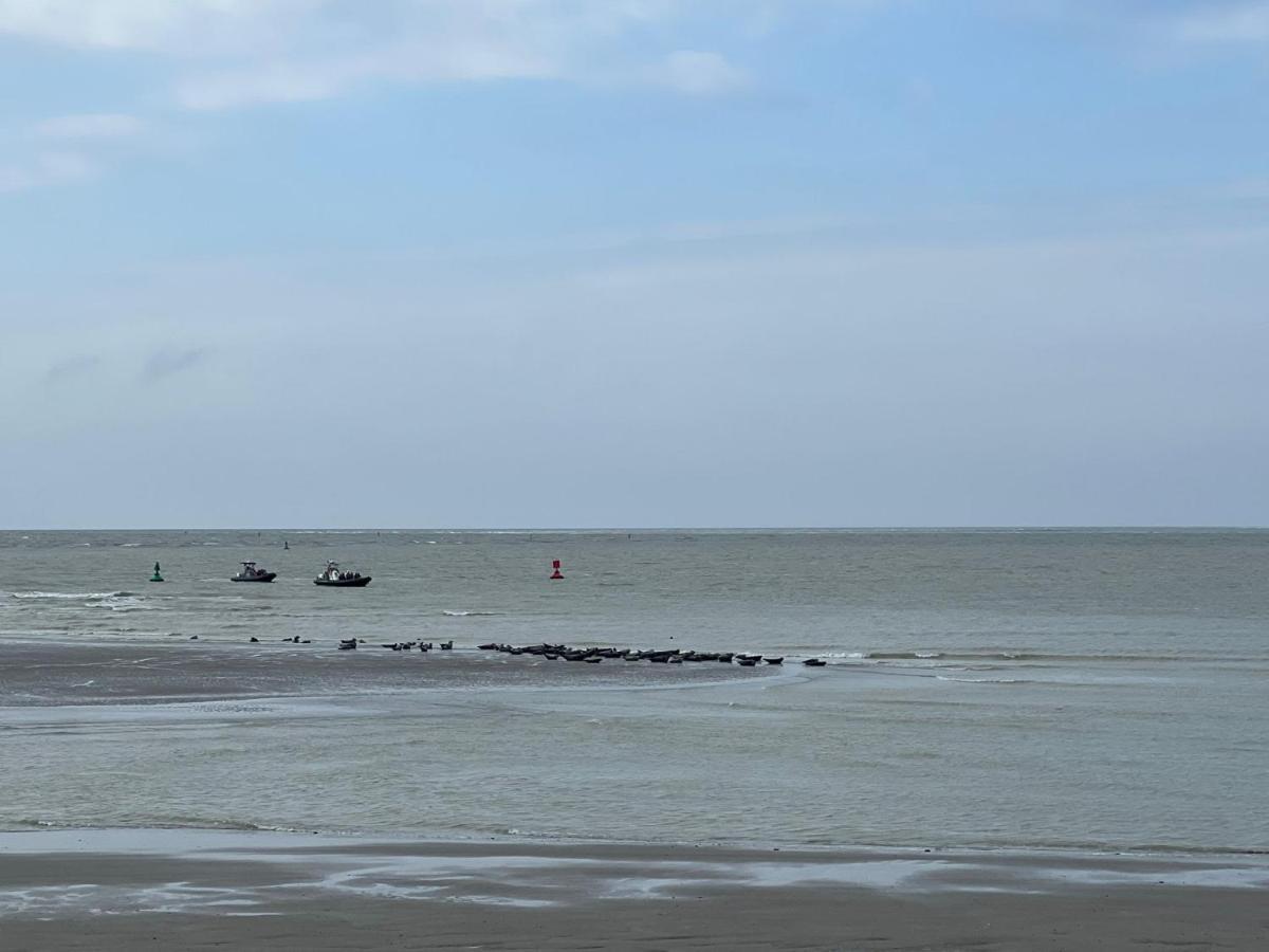 Plage A 50M Appartement Reves Etoiles Villa Les Bains De Mers Buitenkant foto